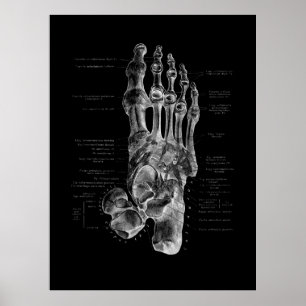 Poster de Foot Bones Anatomy Podiatrist