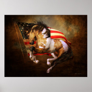 Poster de Freedom Run