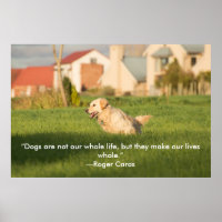 Poster de Golden Retriever avec citation