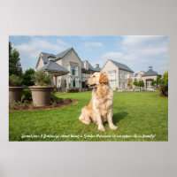 Poster de Golden Retriever dans le jardin avec une