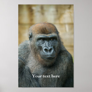 Poster de Gorilla Lope