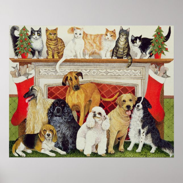 Poster De grandes attentes (Devant)