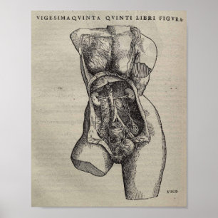 Poster De Humani Corporis