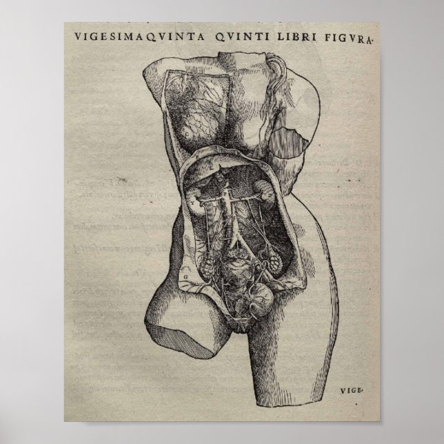 Poster De Humani Corporis (Devant)