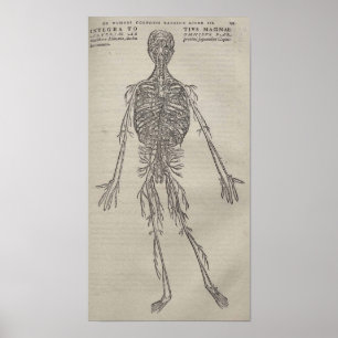 Poster De Humani Corporis