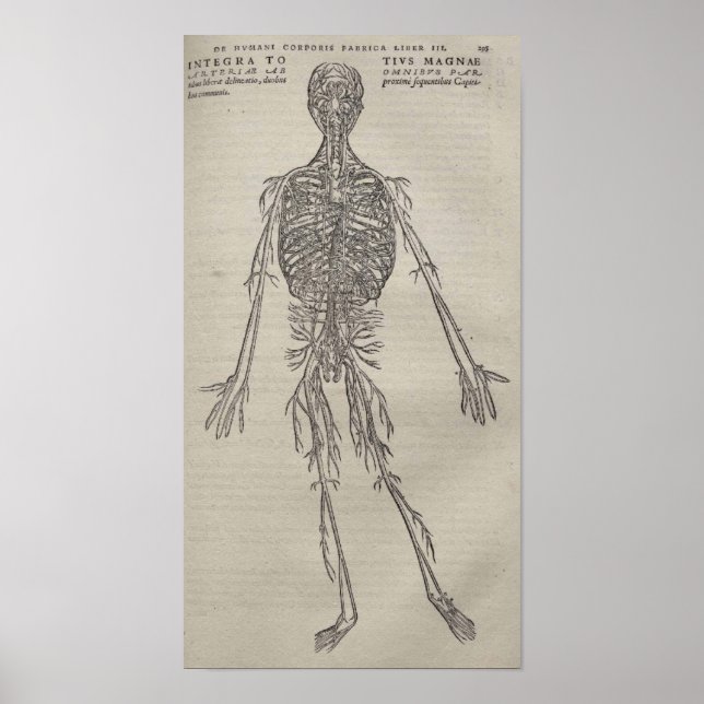 Poster De Humani Corporis (Devant)