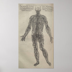 Poster De Humani Corporis