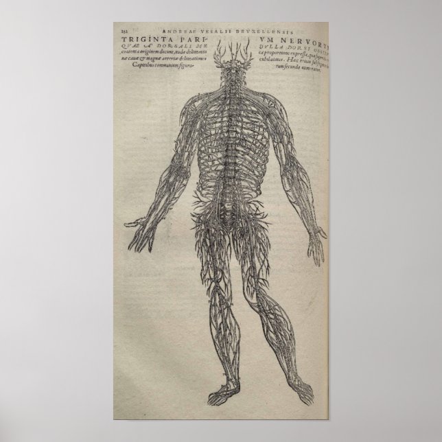 Poster De Humani Corporis (Devant)