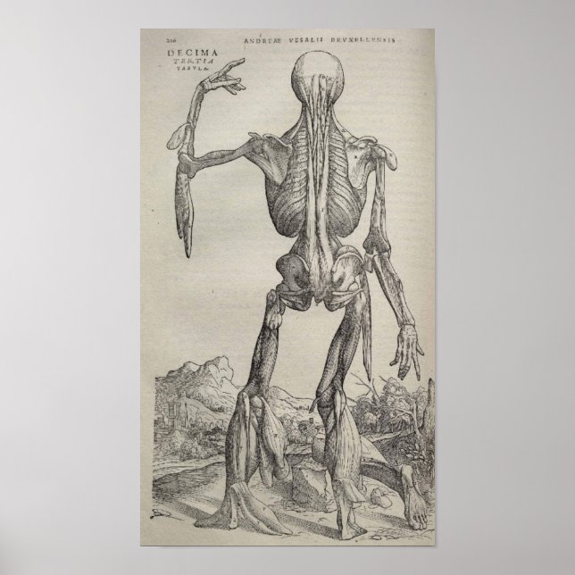 Poster De Humani Corporis (Devant)