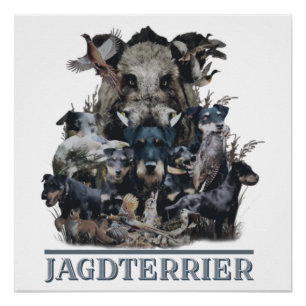 Poster de Jagdterrier, German Hunter Terrier