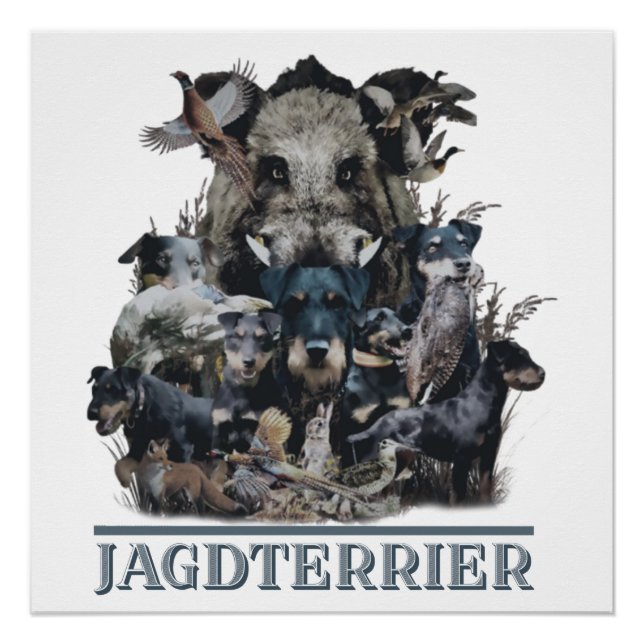 Poster de Jagdterrier, German Hunter Terrier (Devant)