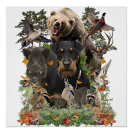 Poster de Jagdterrier, German Hunter Terrier