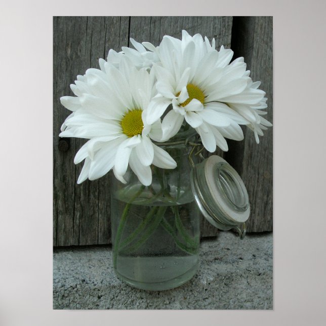 Poster de Jar Of Daisies & Barn Wood (Devant)