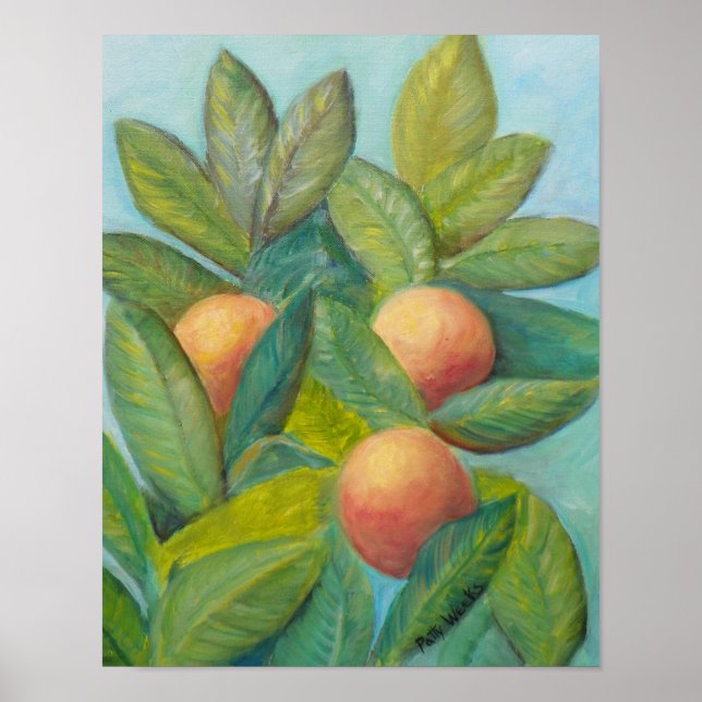 Poster de jardin FLORIDA ORANGES (Devant)