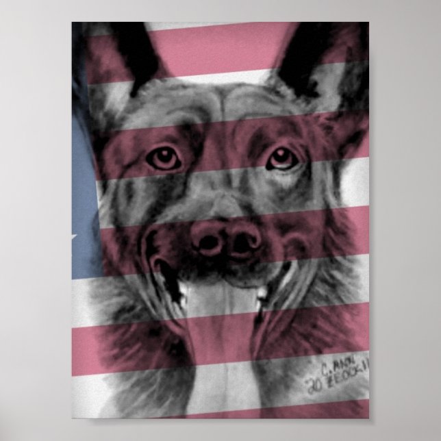 Poster de K9 Dutch Shepherd oeuvre originale (Devant)
