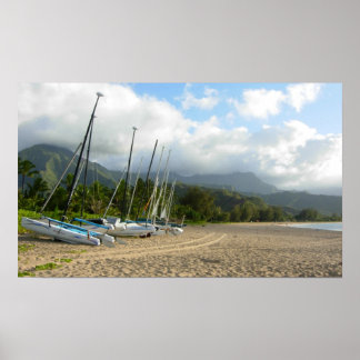 Poster de la baie Hanalei
