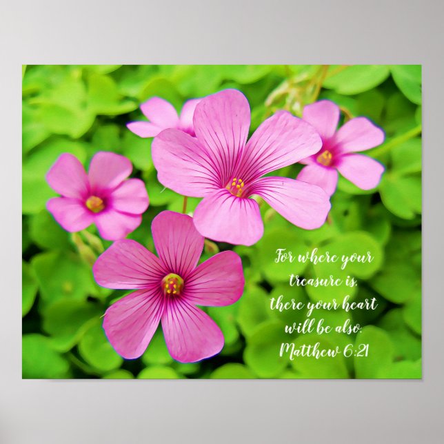 Poster de la Bible des Fleurs Shamrocks roses (Devant)