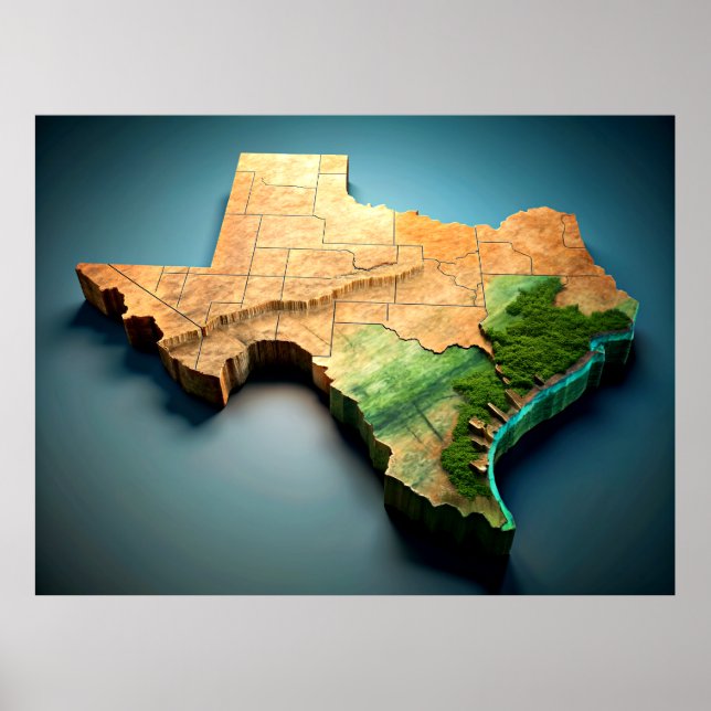 Poster de la carte 3D Texas (Devant)