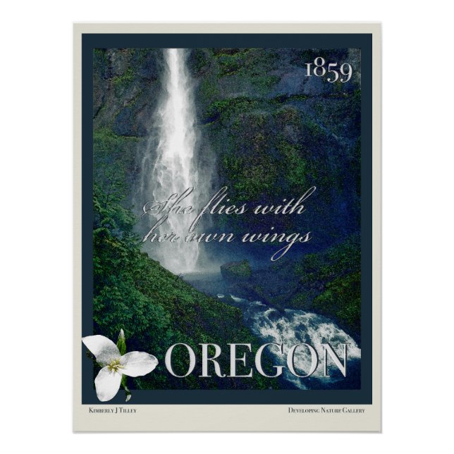 Poster de la cascade de l'Oregon (Devant)