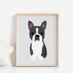 Poster de la chambre Boston Terrier Puppy Puppy