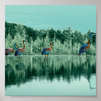 Poster de la chanson Water