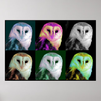 Poster de la Chouette d'art pop