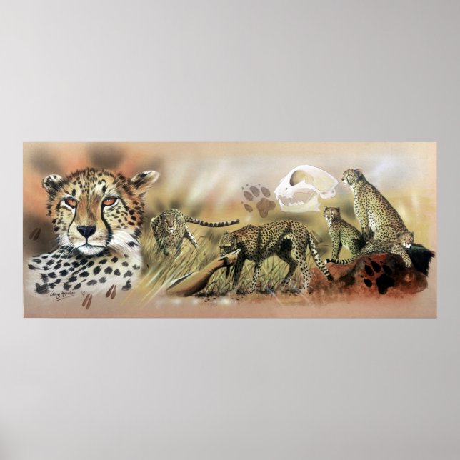 Poster de la collection Cheetah (Devant)