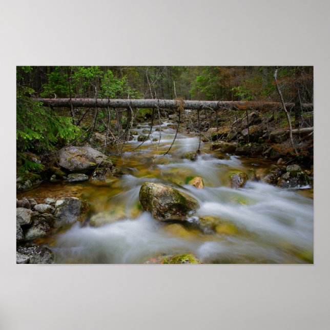 Poster de la crique de la forêt rocheuse (Devant)