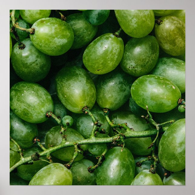 Poster de la cuisine Green Grapes (Devant)