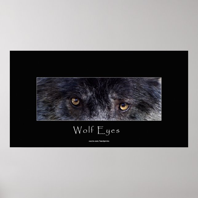 Poster de la faune Black Wolf Eyes (Devant)