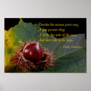 Poster de la feuille d'automne avec la noix et Emi