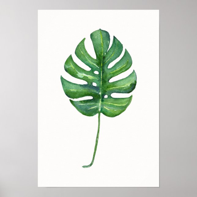 Poster de la feuille tropicale (Monstera) aquarell (Devant)
