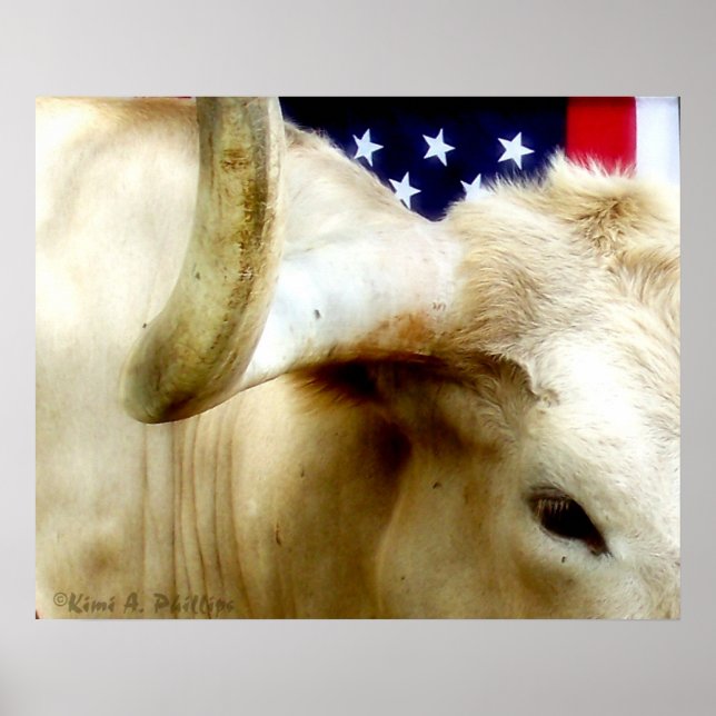 Poster de la Fière du Texas (Devant)