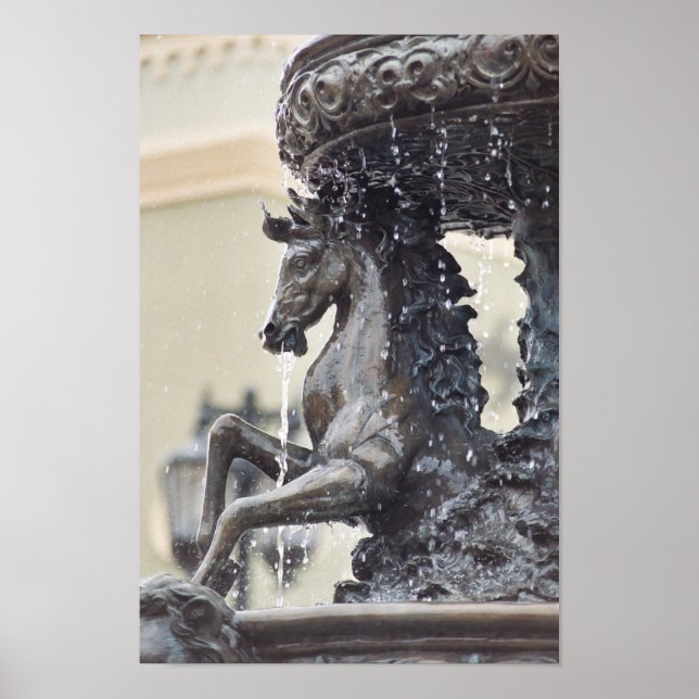 Poster de la fontaine d'eau du cheval (Devant)