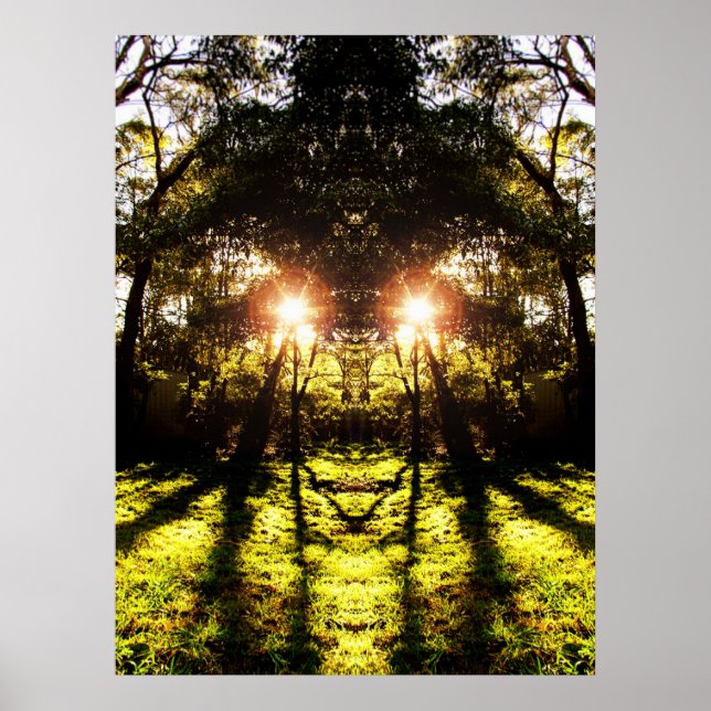Poster de la forêt DMT 'AURUS (Devant)