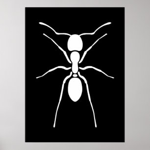 Poster de la fourmi blanche