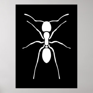 Poster de la fourmi blanche