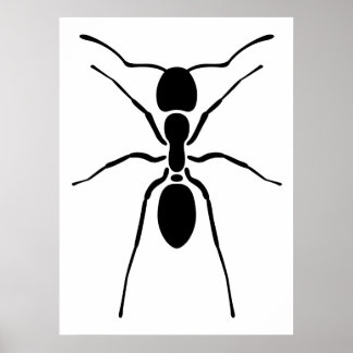 Poster de la fourmi noire