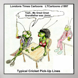Poster de la ligne de ramassage de cricket amusant
