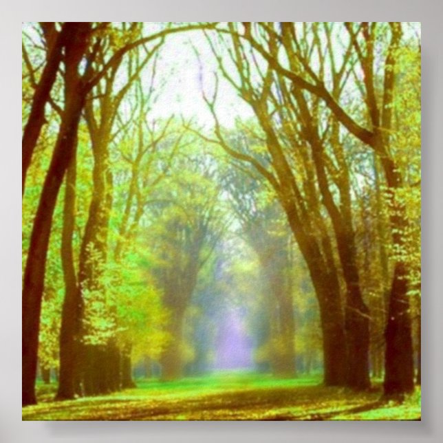 Poster de la lumière du printemps (Devant)