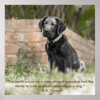 Poster de la marionnette du Labrador avec une cita