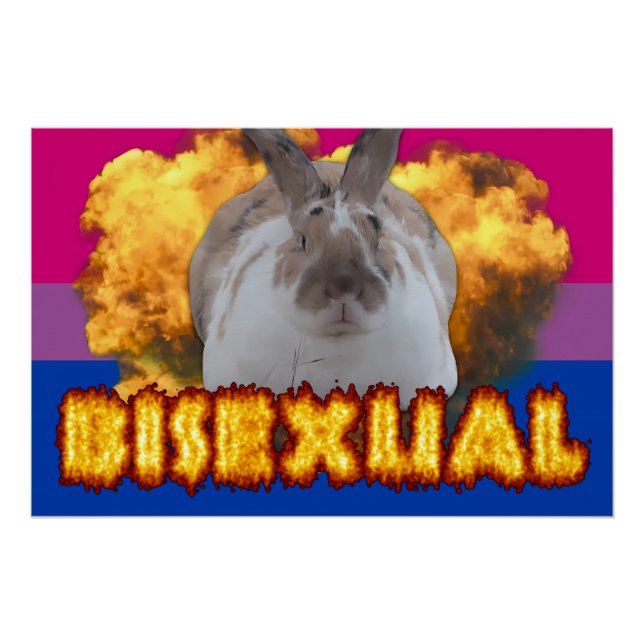 Poster de la Paddy Pride (Bisexual) (Devant)