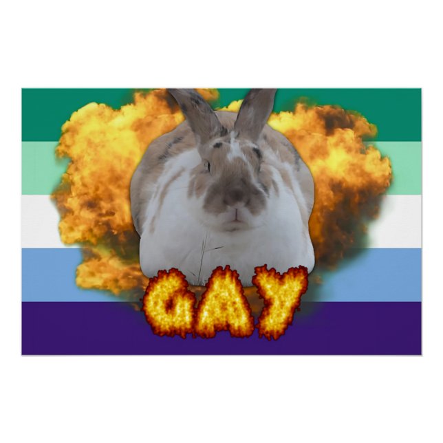 Poster de la Paddy Pride (MLM) (Devant)