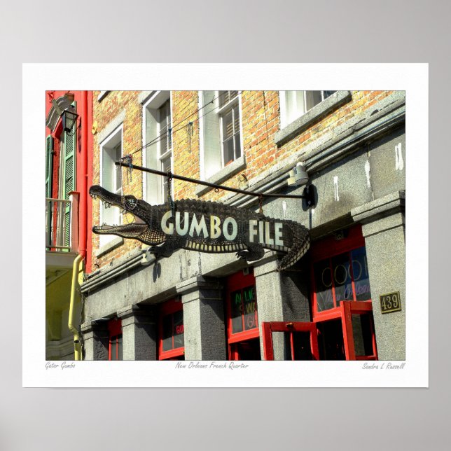 Poster de la photo du Trimestre français "Gumbo Fi (Devant)