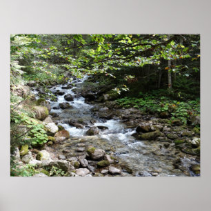 Poster De La Photographie De Rivière