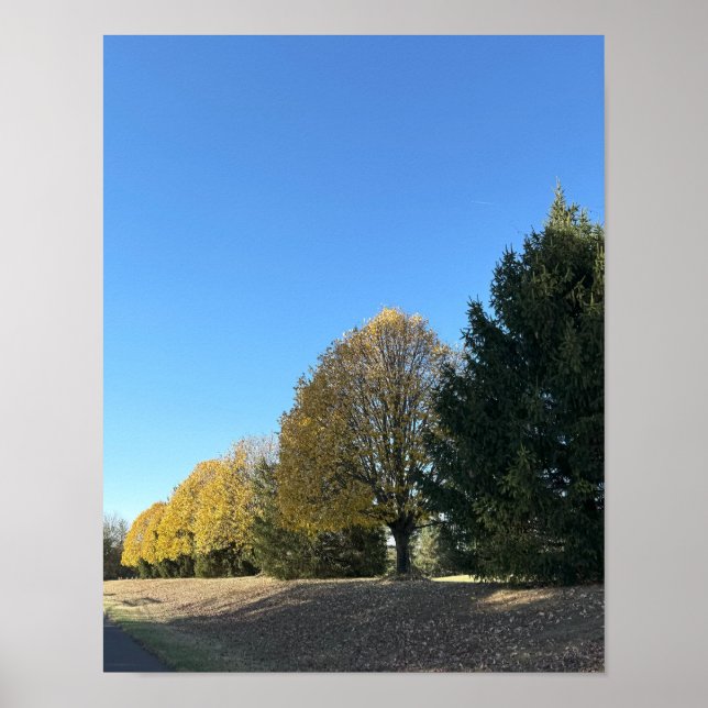 Poster de la rangée d'arbres (Devant)