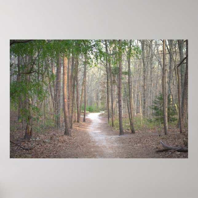 Poster de la rangée des arbres (Devant)