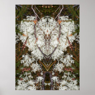 Poster de la reine Elizabeth 1st Lichen