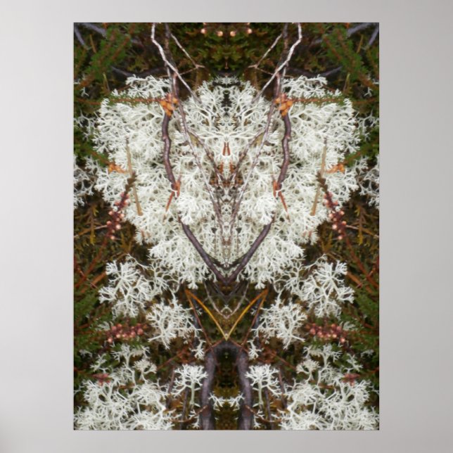 Poster de la reine Elizabeth 1st Lichen (Devant)