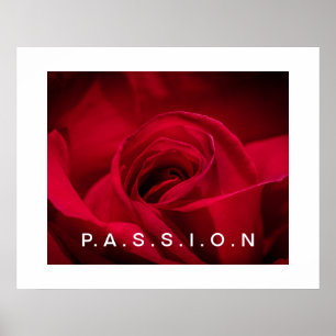 Poster de la Rose Rouge Passion